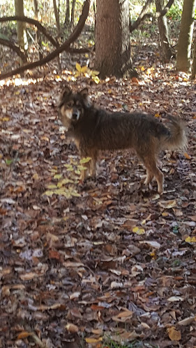 Sunnybrook Preserve