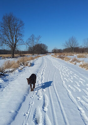 Chippewa Inlet Trailhead-South