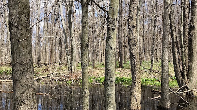 Chippewa Inlet Trailhead-South - Chippewa Lake, OH