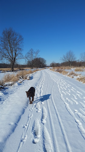 Chippewa Inlet Trailhead-South