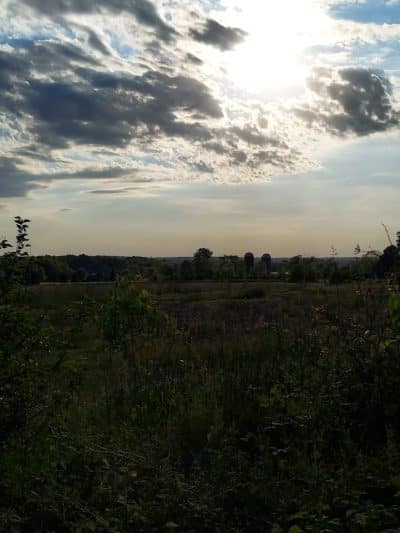 Chippewa Rail Trail parking lot - Chippewa Lake, OH