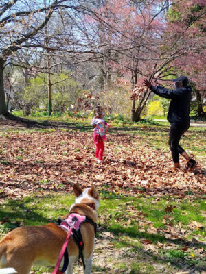 Annwood Park