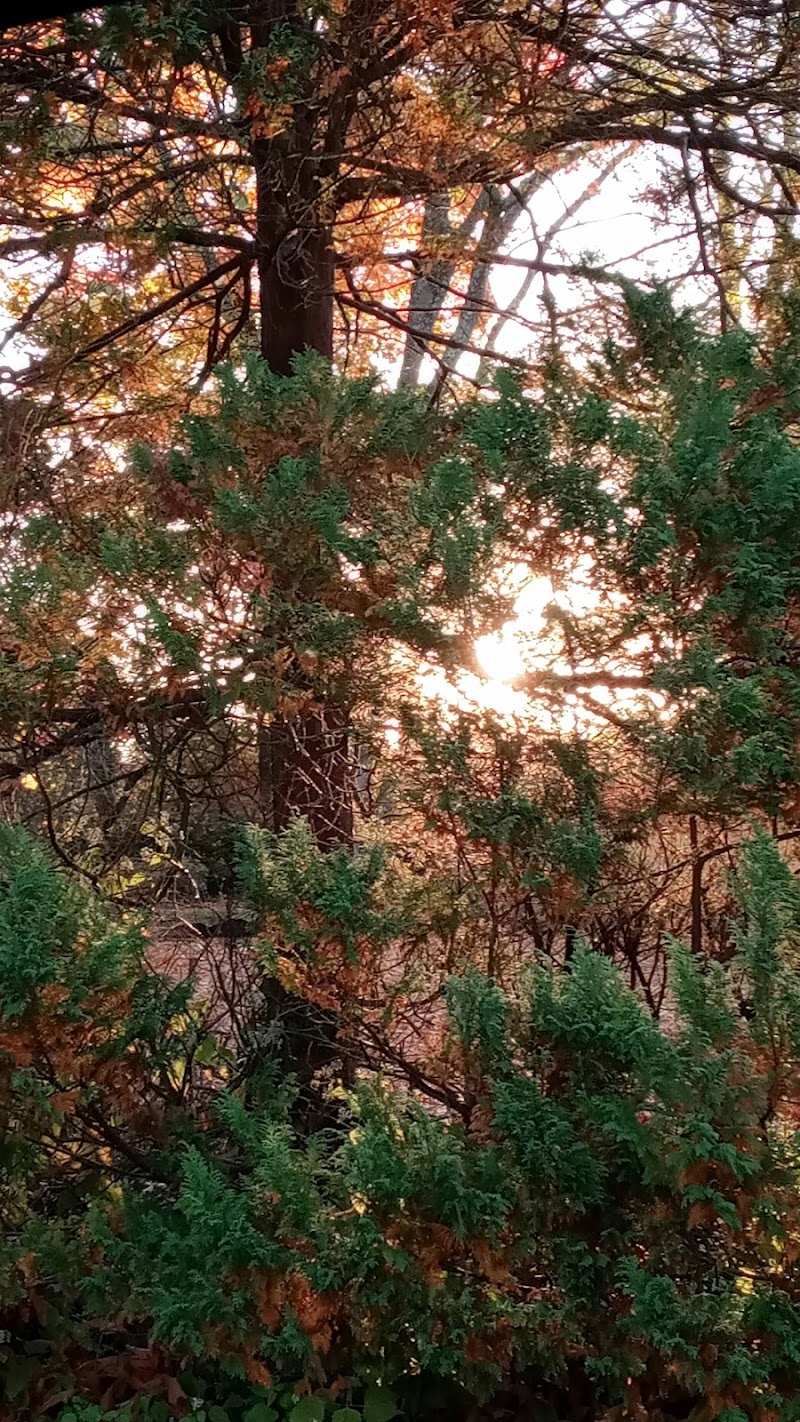 Annwood Park - Cincinnati, OH