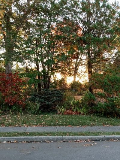 Annwood Park - Cincinnati, OH
