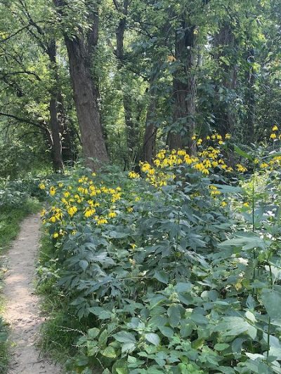 Armleder Loop Trailhead - Cincinnati, OH