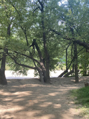 Armleder Loop Trailhead