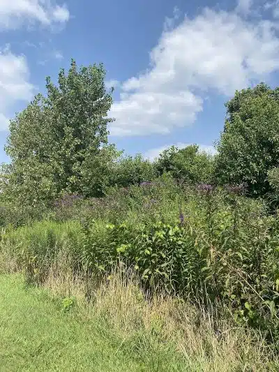 Armleder Loop Trailhead - Cincinnati, OH