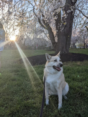 Ault Park