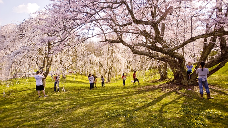 Ault Park - Cincinnati, OH
