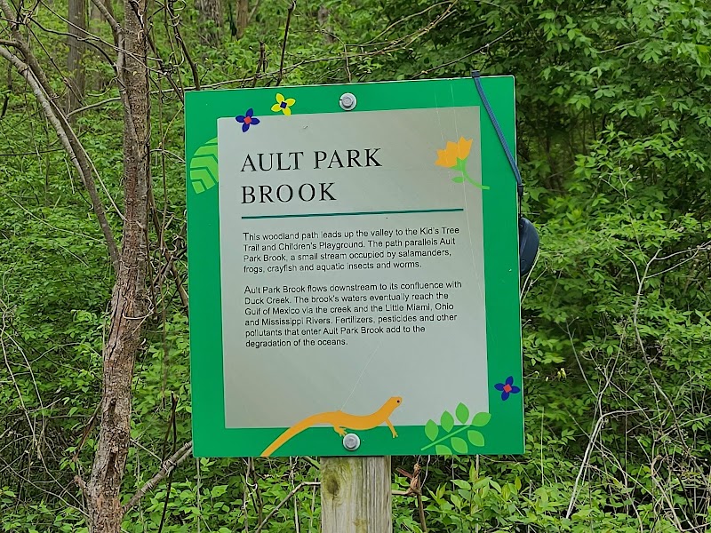 Ault Park Brook - Cincinnati, OH