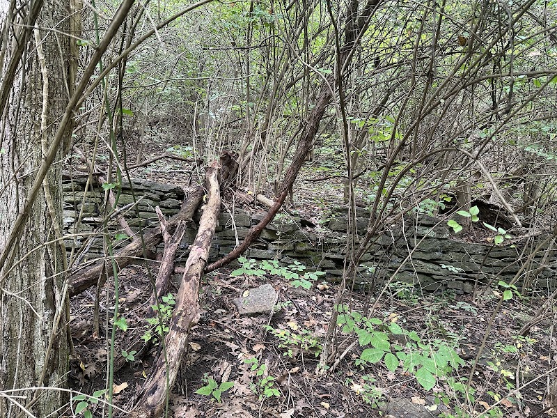 Ault Park Brook - Cincinnati, OH