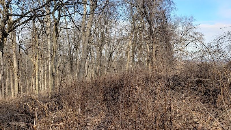 Avon Woods Nature Center - Cincinnati, OH