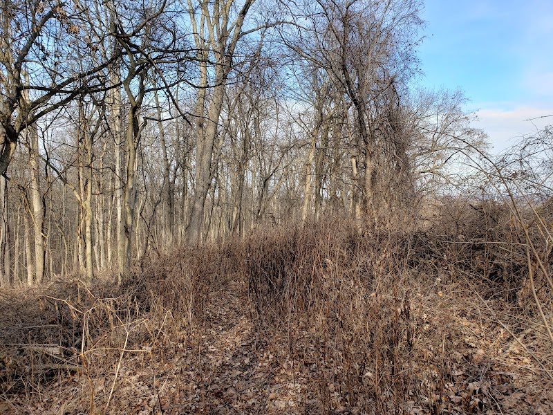 Avon Woods Nature Center - Cincinnati, OH