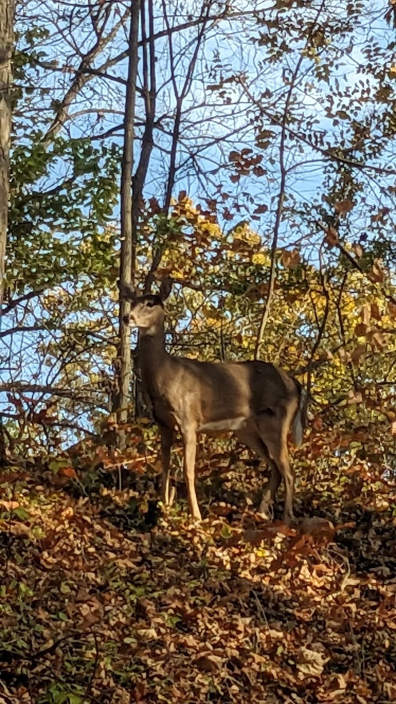 Avon Woods Nature Center - Cincinnati, OH