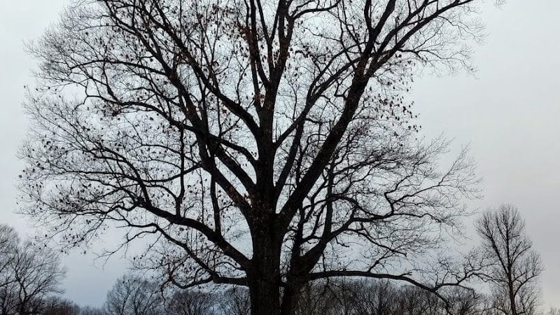 Avon Woods Nature Center - Cincinnati, OH