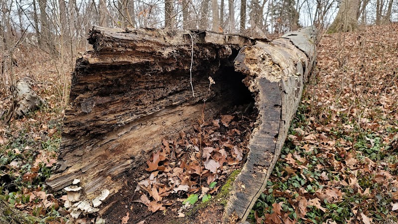 Avon Woods Nature Center - Cincinnati, OH