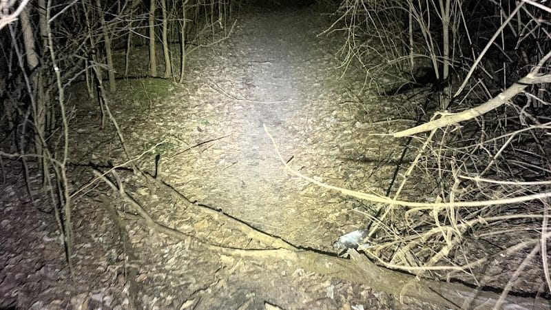 Badgley Run Park - Cincinnati, OH