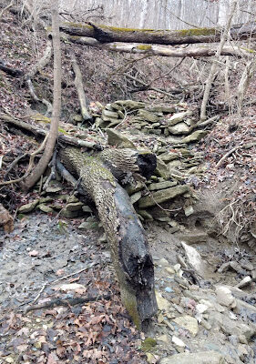 Badgley Run Park