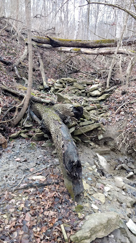 Badgley Run Park