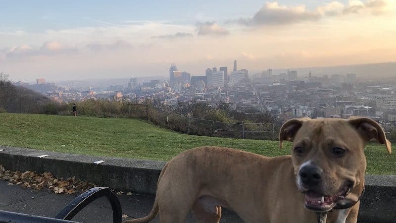Bellevue Hill Park - Cincinnati, OH