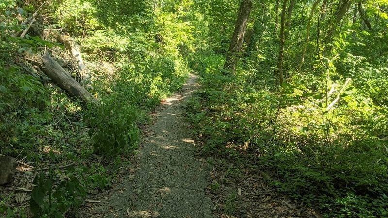 Bender Mountain Nature Preserve - Cincinnati, OH