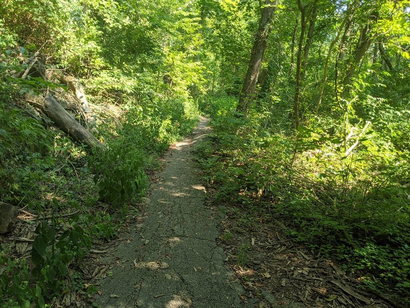 Bender Mountain Nature Preserve - Cincinnati, OH