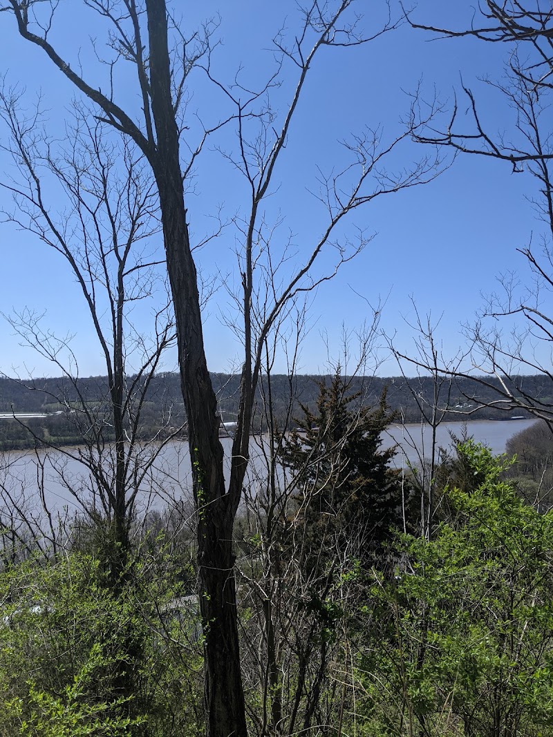 Bender Mountain Nature Preserve - Cincinnati, OH