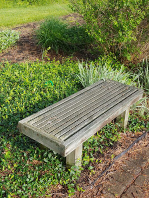 Bicentennial Green at Bauer Preserve