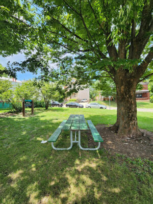 Bishop Park