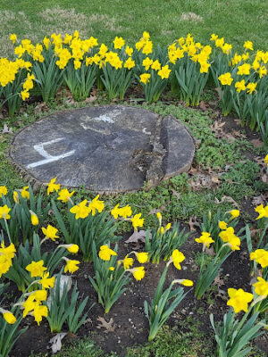 Bowdle Park