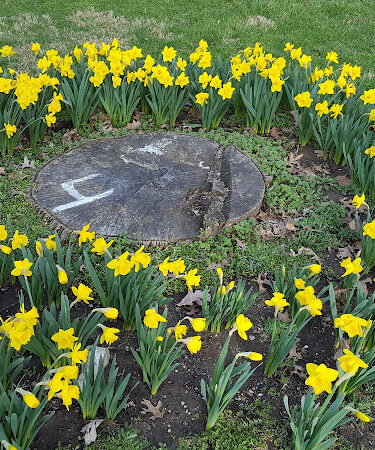Bowdle Park