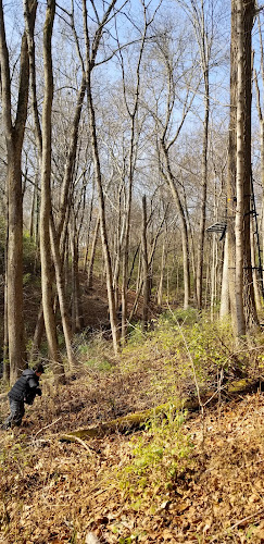Bruening Park