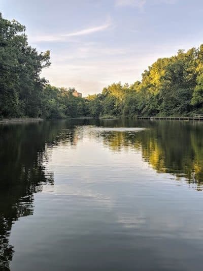 Burnet Woods - Cincinnati, OH