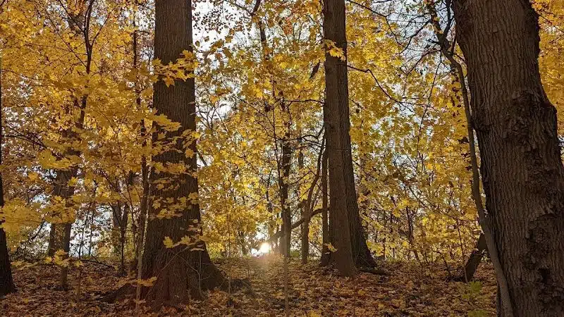 Burnet Woods - Cincinnati, OH