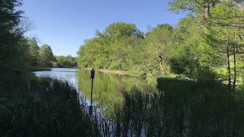 Burnet Woods - Cincinnati, OH