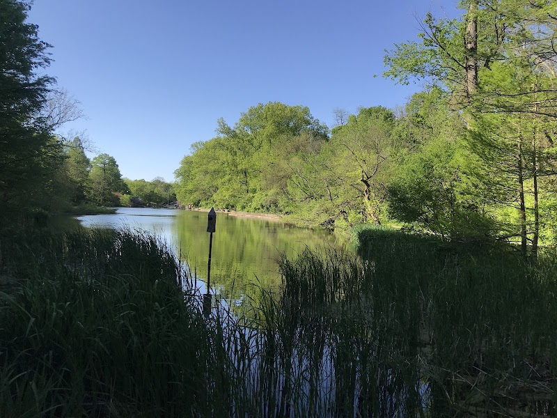 Burnet Woods - Cincinnati, OH