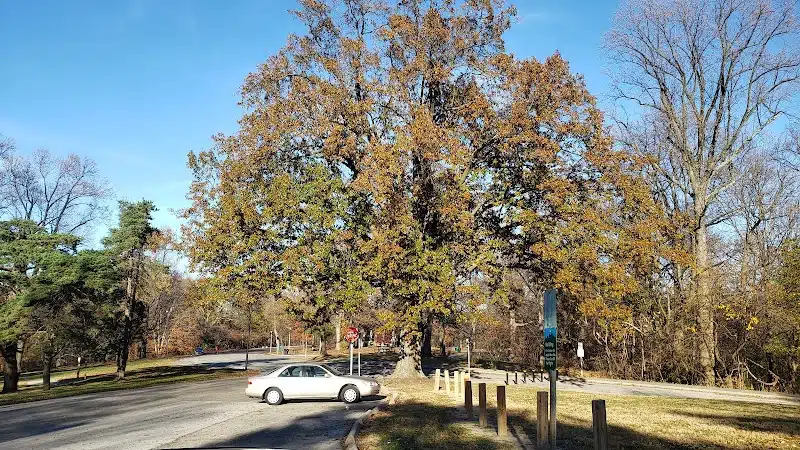 Burnet Woods - Cincinnati, OH