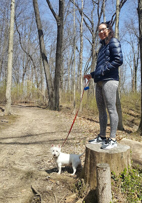 Buttercup Valley Preserve
