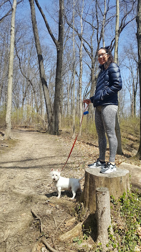 Buttercup Valley Preserve