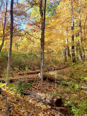 Caldwell Nature Center