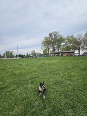 Chamberlin Park