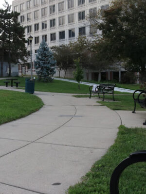 Classen Park