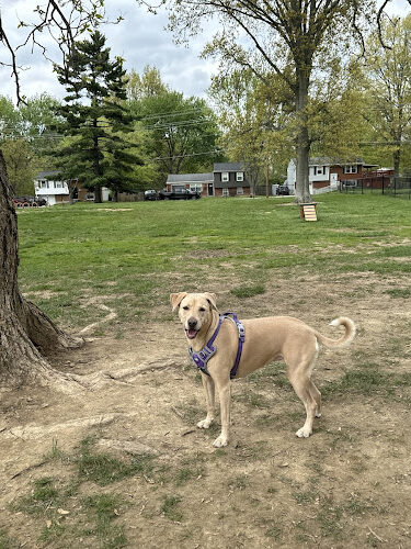 Clepper Dog Park