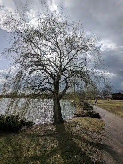 Delhi Park - Cincinnati, OH