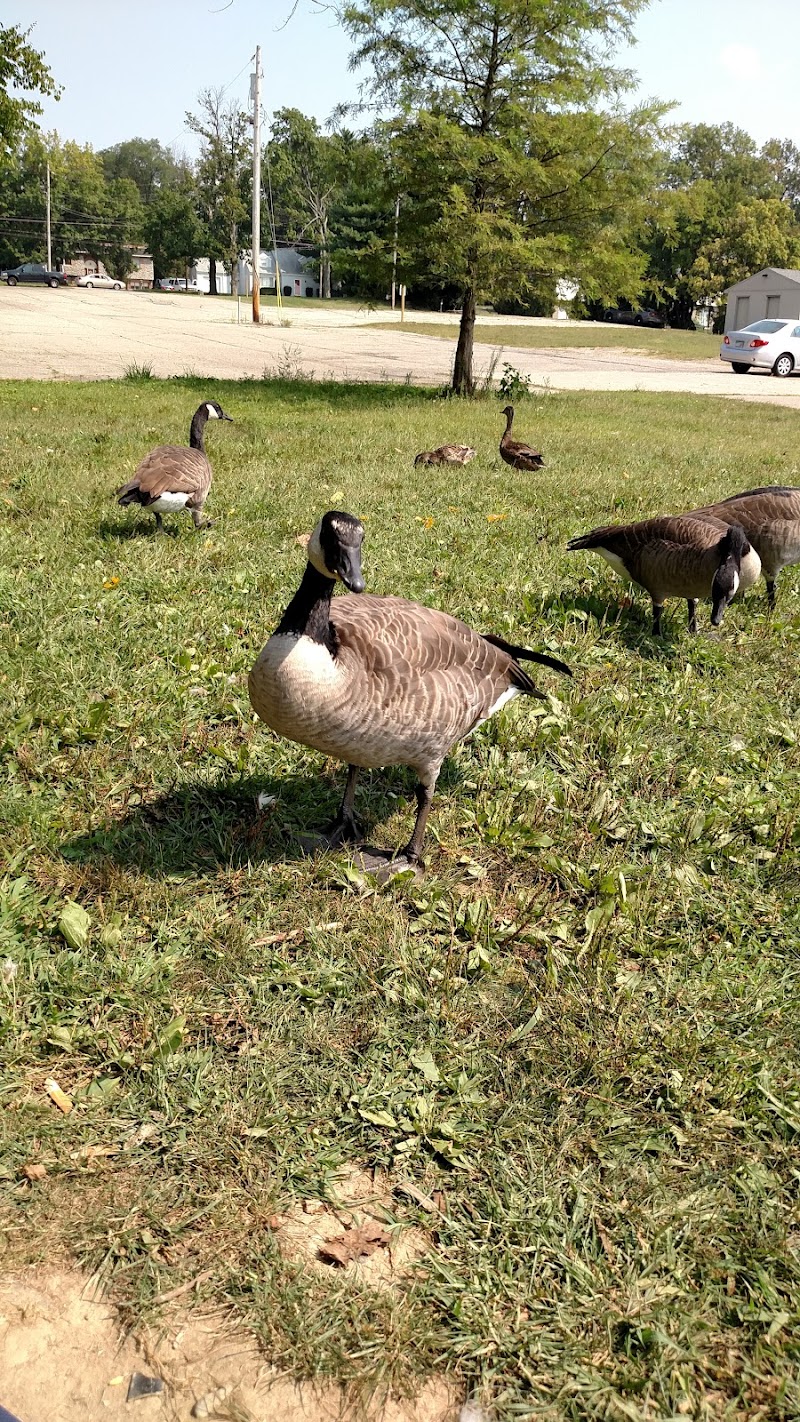 Delhi Park - Cincinnati, OH