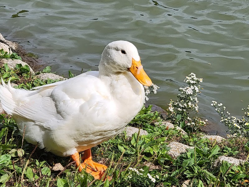 Delhi Park - Cincinnati, OH