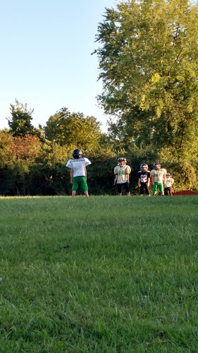 Delhi Park Field 8