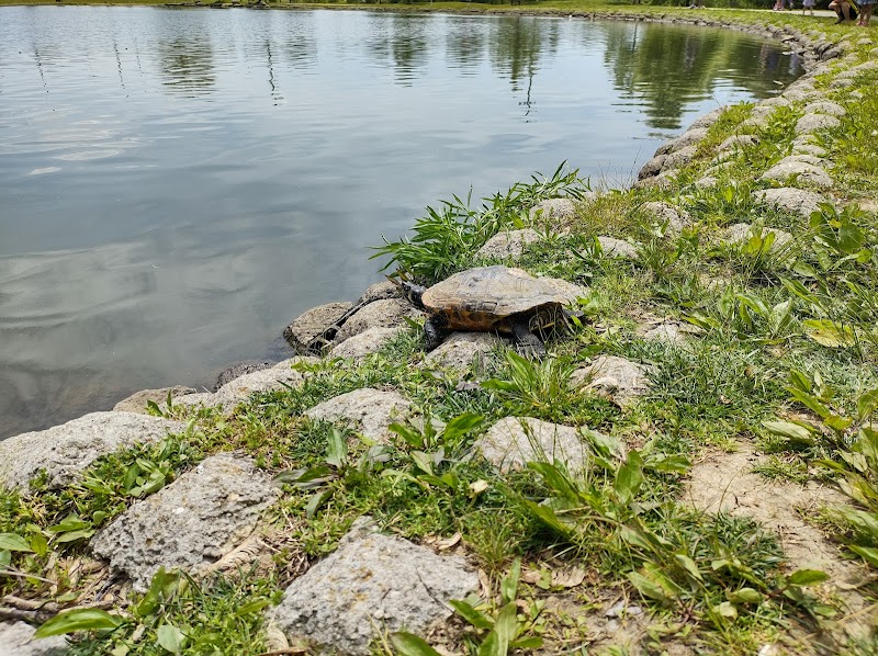 Delhi Park Lake - Cincinnati, OH