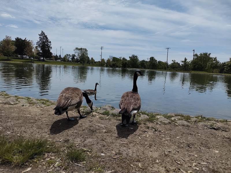 Delhi Park Lake - Cincinnati, OH
