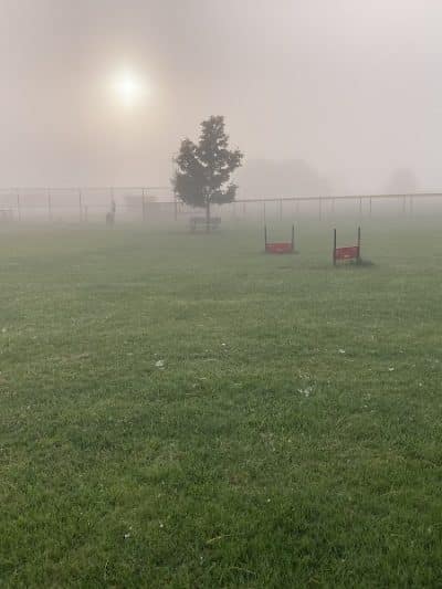 Diamond Dogs Dog Park - Cincinnati, OH